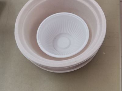 Biodegradable lunch box tableware