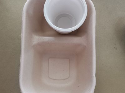 Biodegradable lunch box tableware